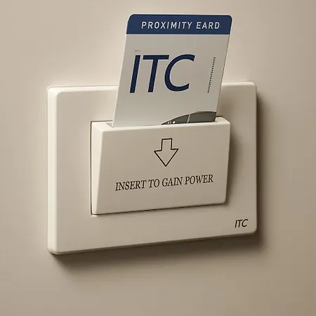 Le Due Muse パガーニ